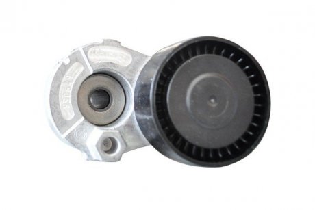 Ролик ременя генератора Renault Logan (04-), Megane (03-), Kangoo, Laguna, Sandero (08-), Duster (10-) 1,5 dCI з конд ASAM 30686