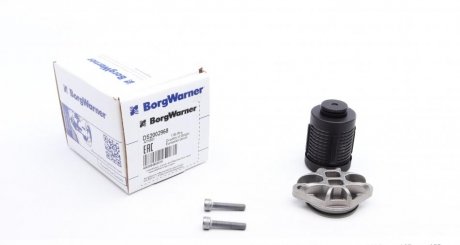 Ремкомплект масляного фільтра муфти диференціалу BorgWarner DS2002968