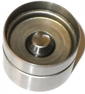 Гідрокомпенсатор BMW M52/M54/S62 \'\'95-06 FRECCIA PI 06-0021