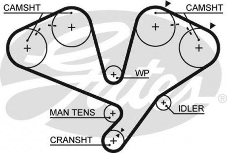 Ремінь ГРМ Gates 5442 XS