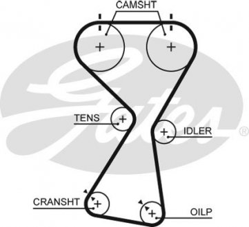 Ремень Gates 5534XS