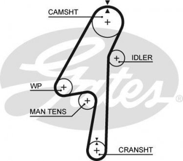 Ремень Gates 5580 XS