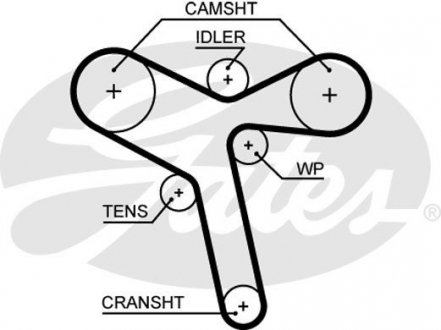 Ремень ГРМ Gates 5647 XS