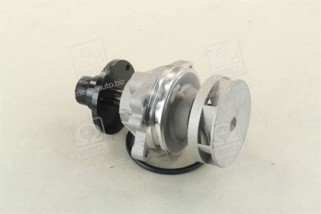 WPQ0042 Водяной насос MAGNETI MARELLI 352316170042