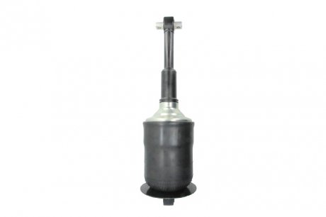 1 SACHS 317 325